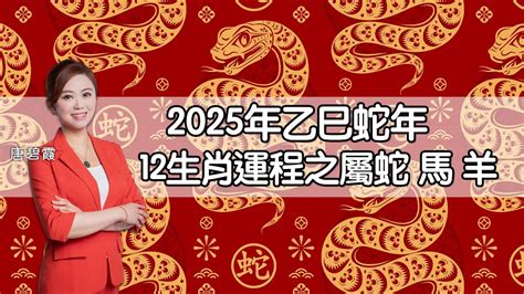 生肖屬蛇|屬蛇/馬/羊生肖運程2025｜蛇年屬蛇情緒易不穩、屬羊比較平